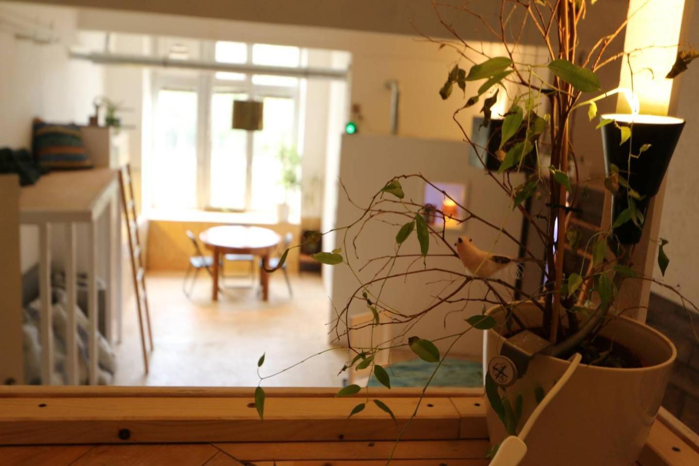 Einzigartiges 140Qm Loft - Party Ist Erlaubt! Lejlighed Berlin Eksteriør billede